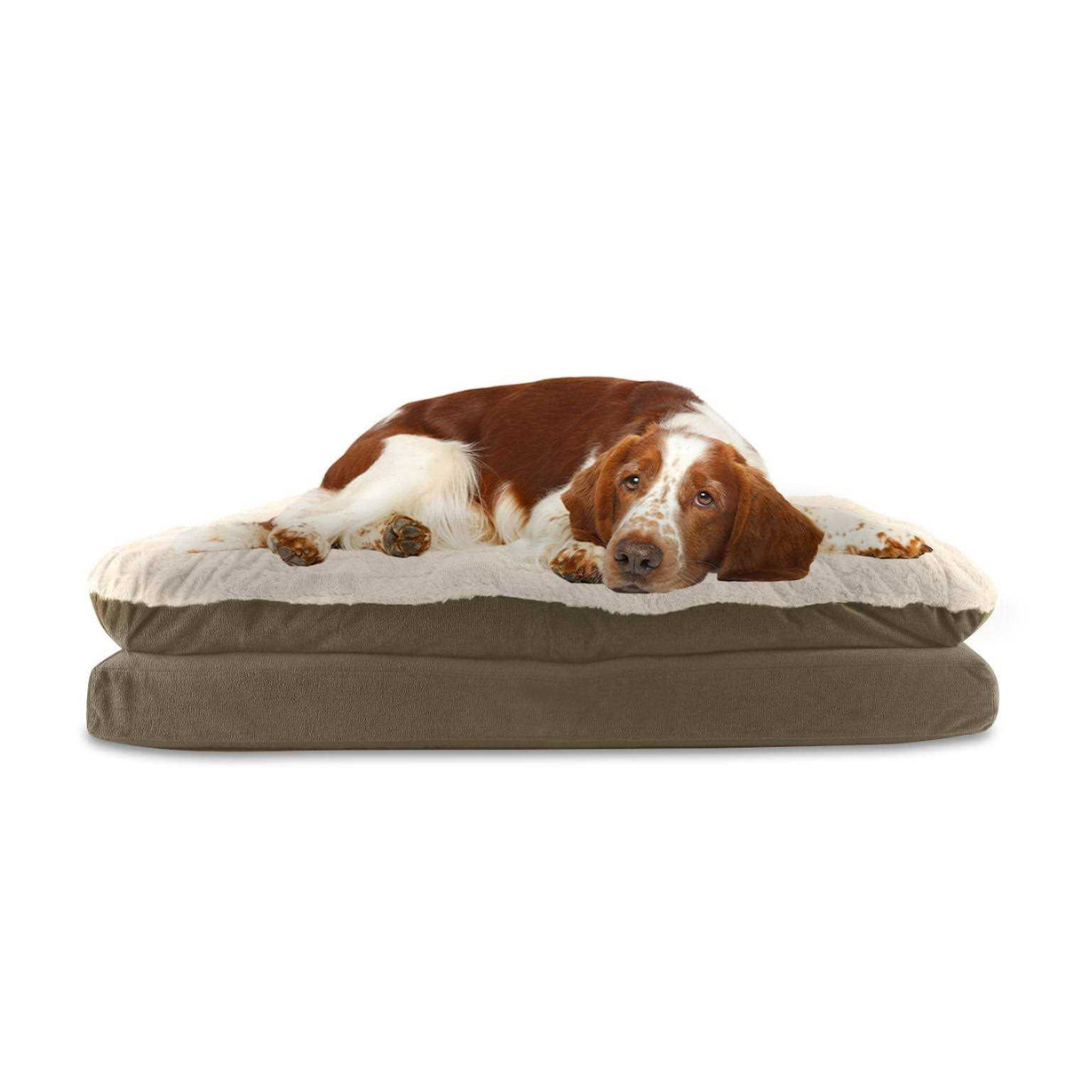 Rectangle Pet Dog Bed S481