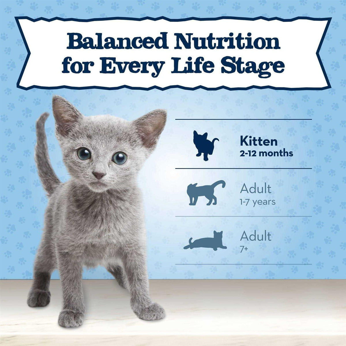 Chicken Recipe Wet Kitten Food O362