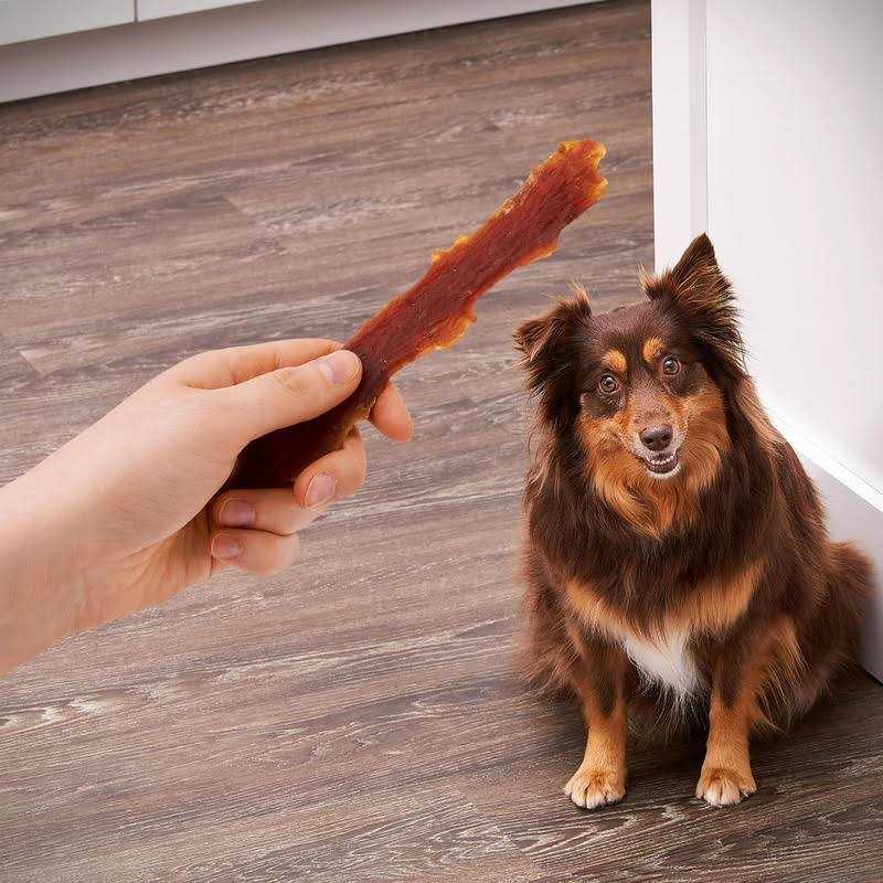 Dog Treats H807