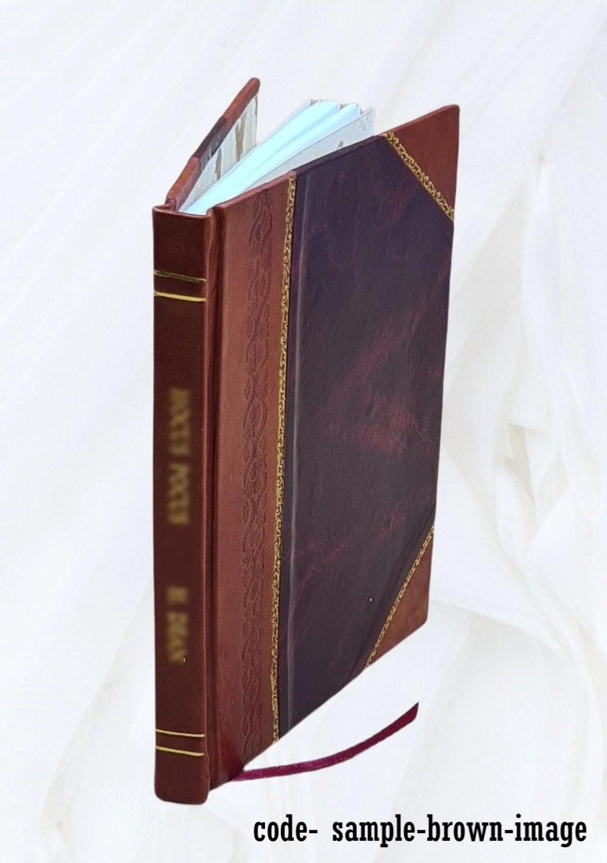 Leather Bound P99101