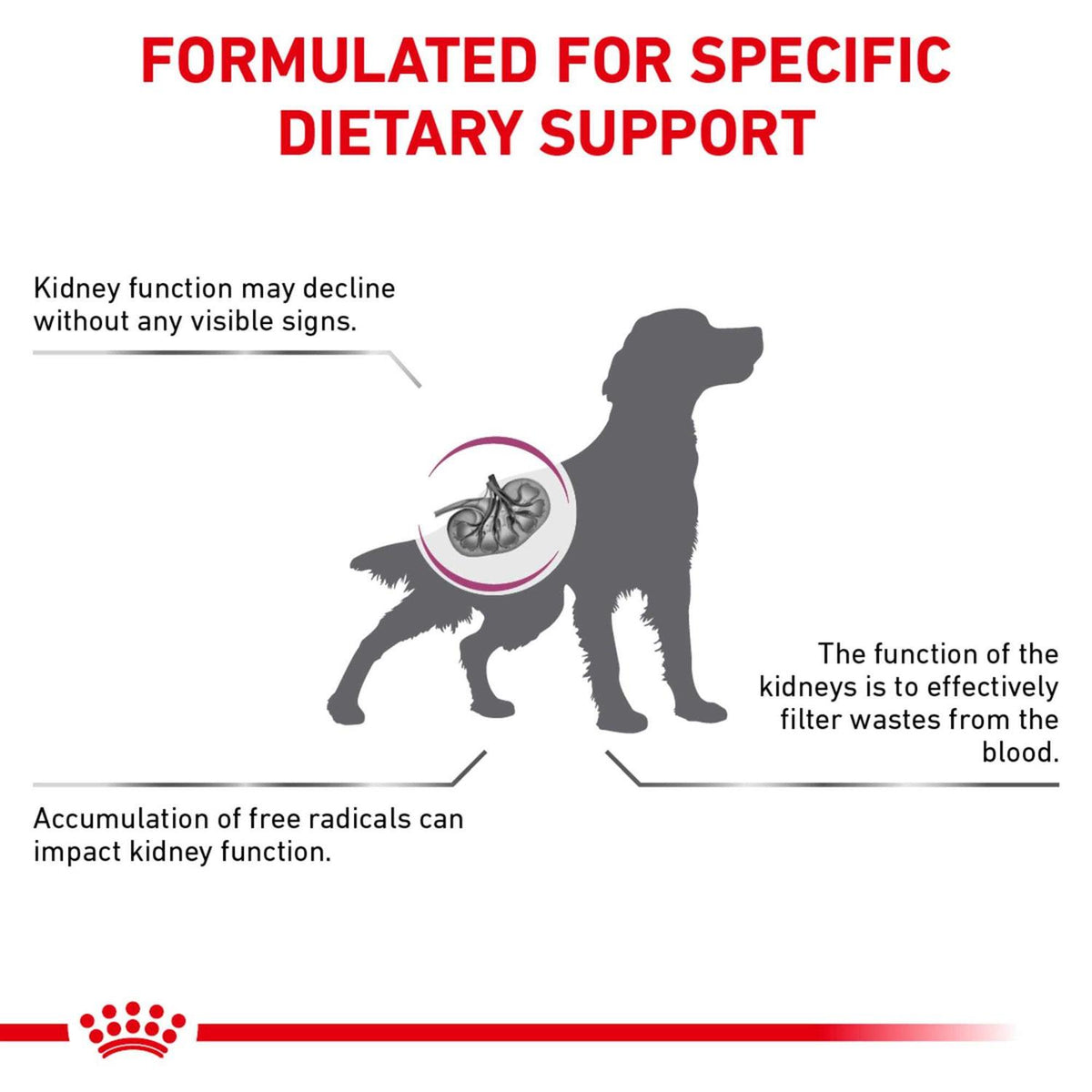 Veterinary Diet Canine Renal Support Early Consult Dry Dog Food J7983