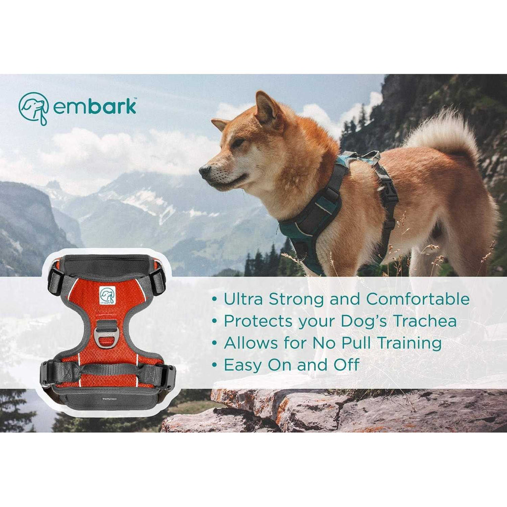 Dog Harness Leash N560