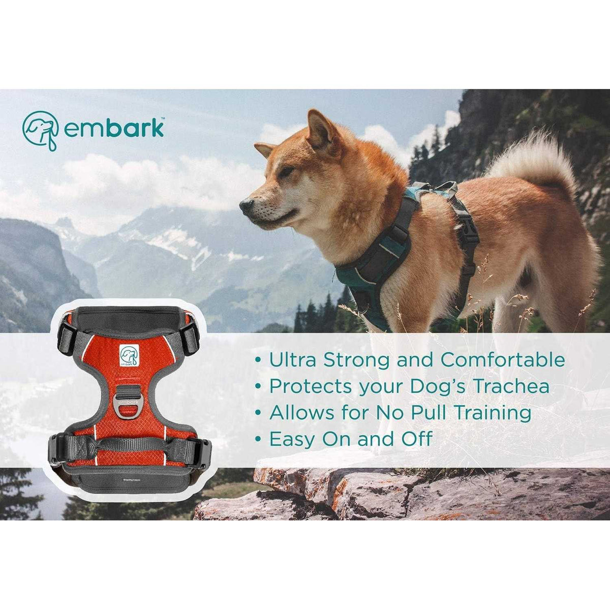 Dog Harness Leash N560