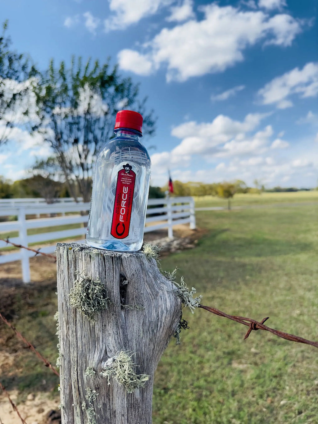 12 oz Plastic Bottled Artesian Spring Water, 24 Pack C953247