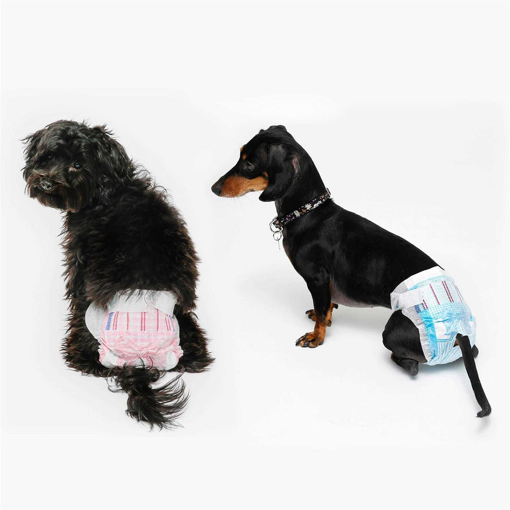 Disposable Dog Diapers A611174