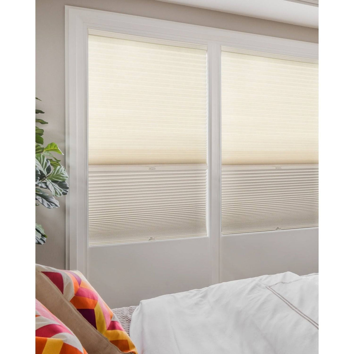 Cordless Cellular Shades R127197