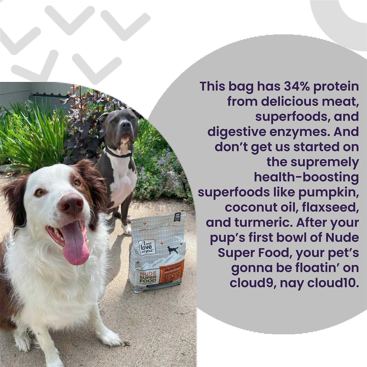 Red Meat Medley Dog Food Y963