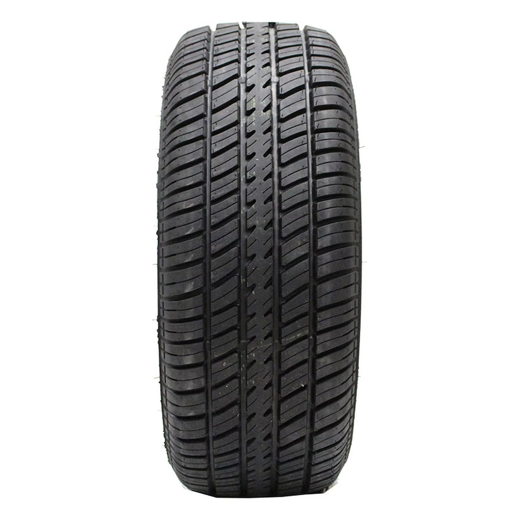 All Season P225/70R15 100T Passenger Tire N56121