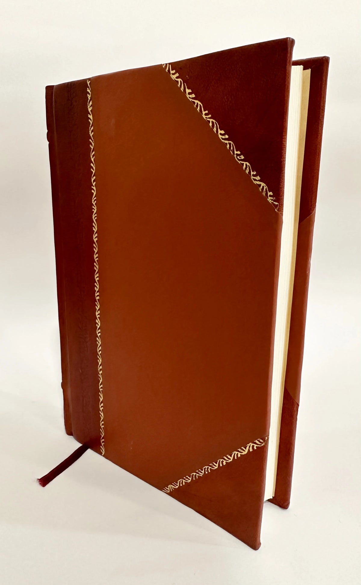 Leather Bound Book T919144
