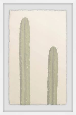 Framed Print N3265