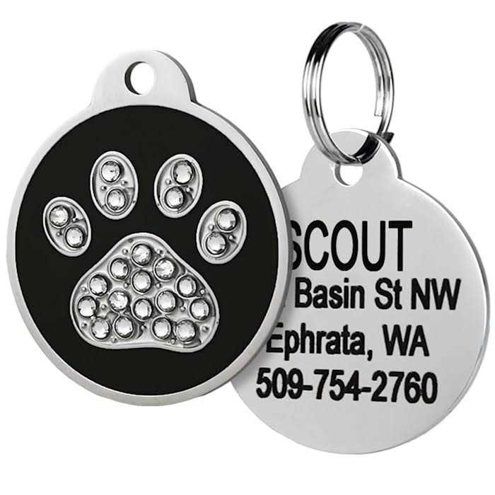 Stainless Steel Personalized Dog & Cat ID Tag F730
