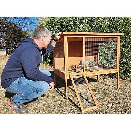 Rabbit Hutch E675