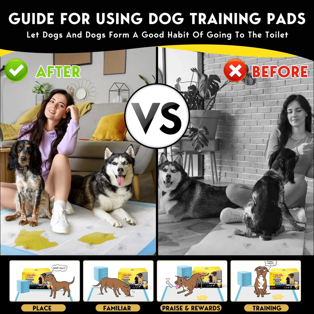 XXL Absorbent Dog Training Pads, 30x36 inch, 100 Count H977199