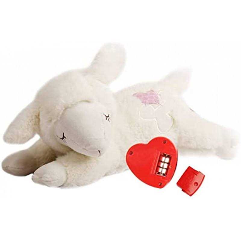 20 Pack Puppy Chew Toys R3190