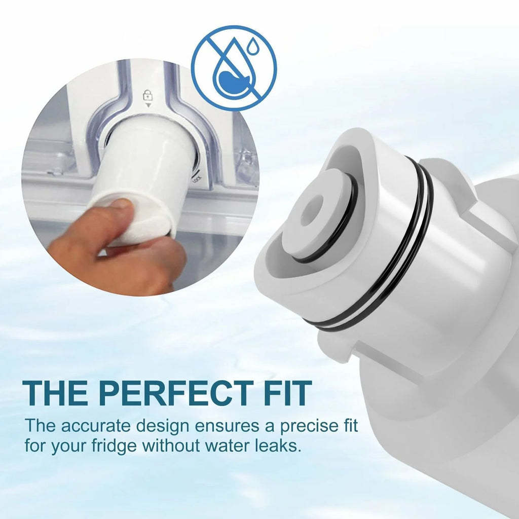 2 Pack Refrigerator Water Filter F304199