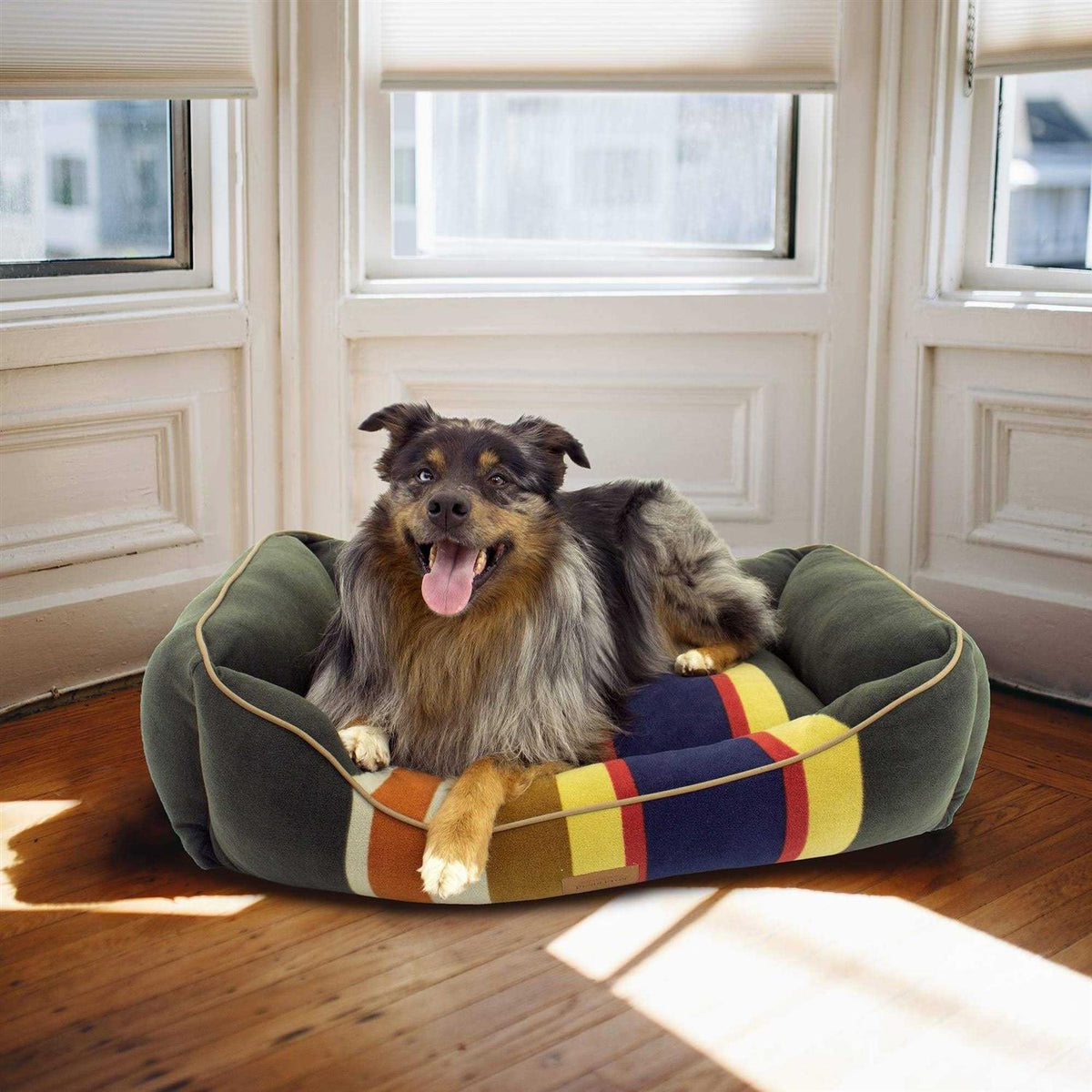 Dog Bed C411329