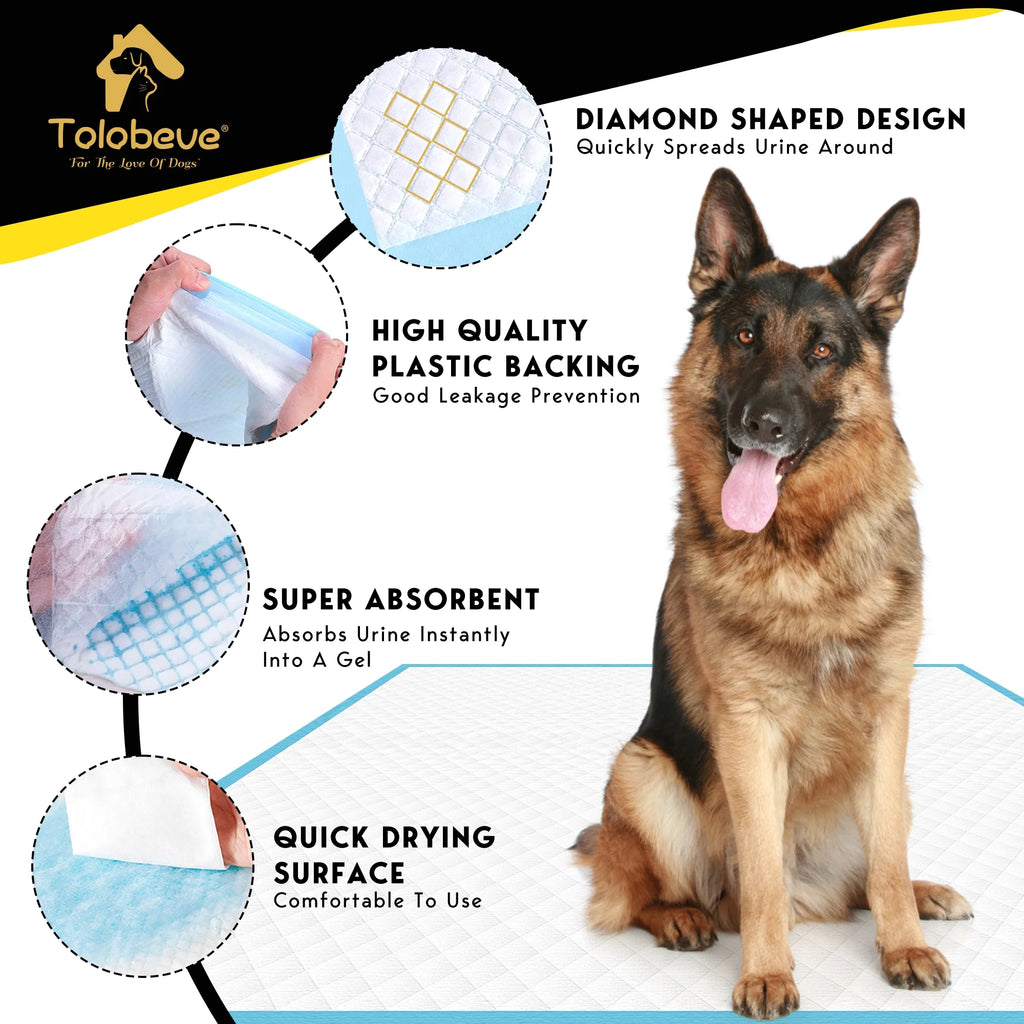 XXL Absorbent Dog Training Pads, 30x36 inch, 100 Count H977199