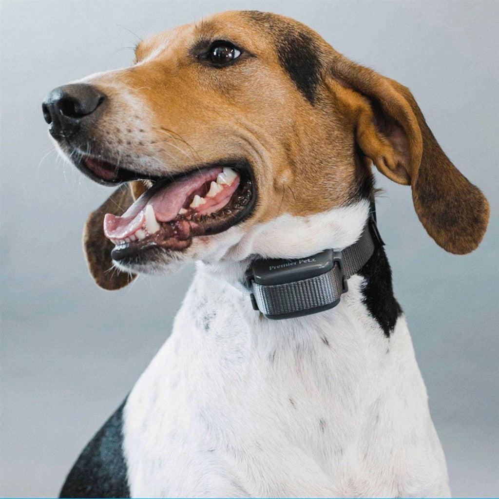 Bark Collar X1789