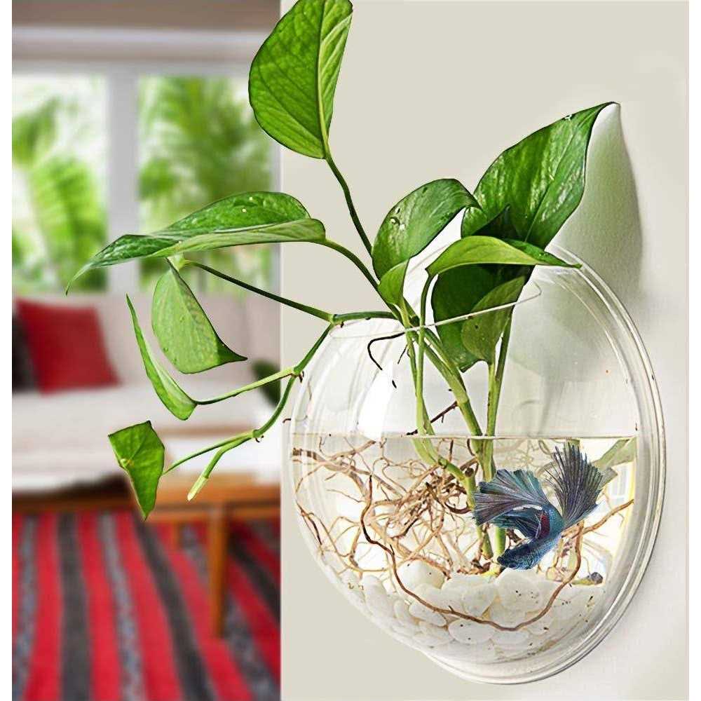 Wall-Hanging Acrylic Fish Bowl 1 Gallon T733083