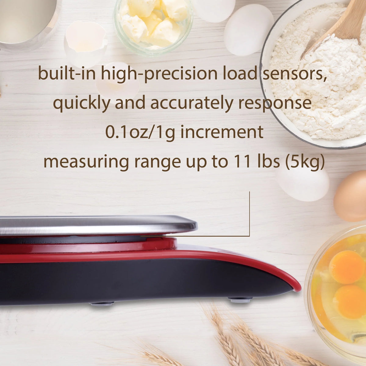 Round Stainless Steel Digital Kitchen Scale A76523