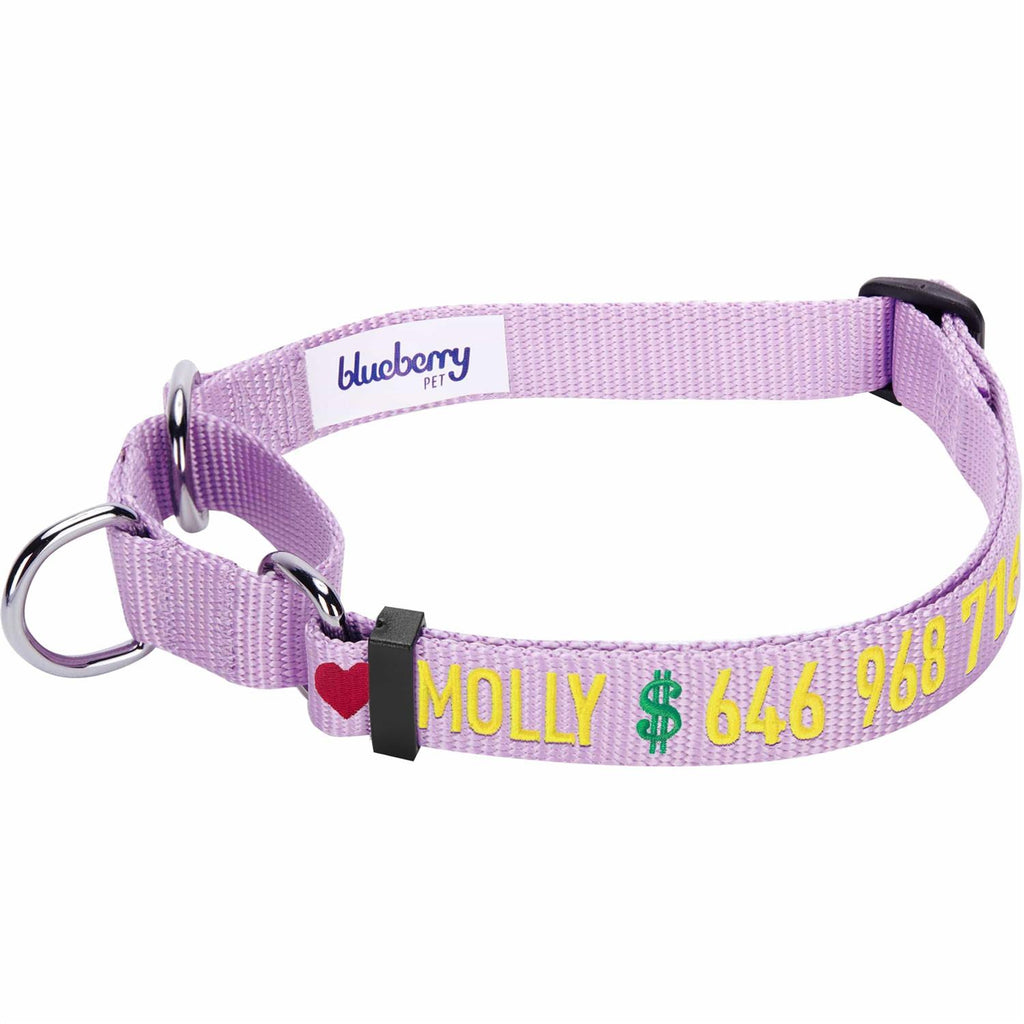 Martingale Safety Training Dog Collar U1071