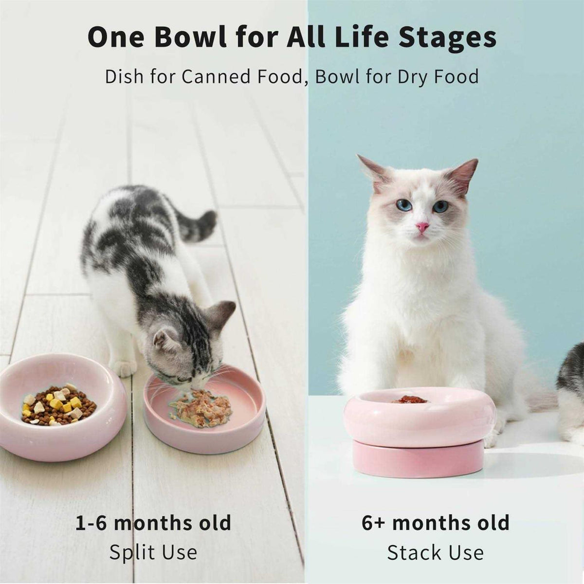 Ceramic Cat Food Bowl D819853