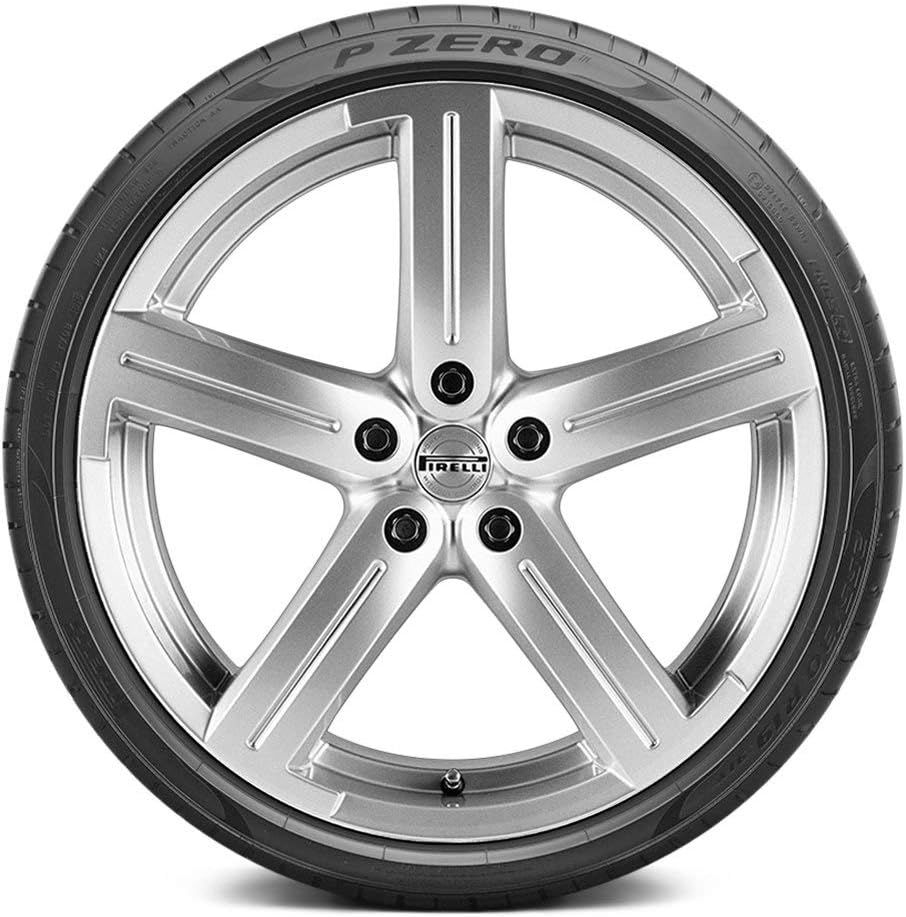 245/45R21 104Y Performance Radial Tire M109