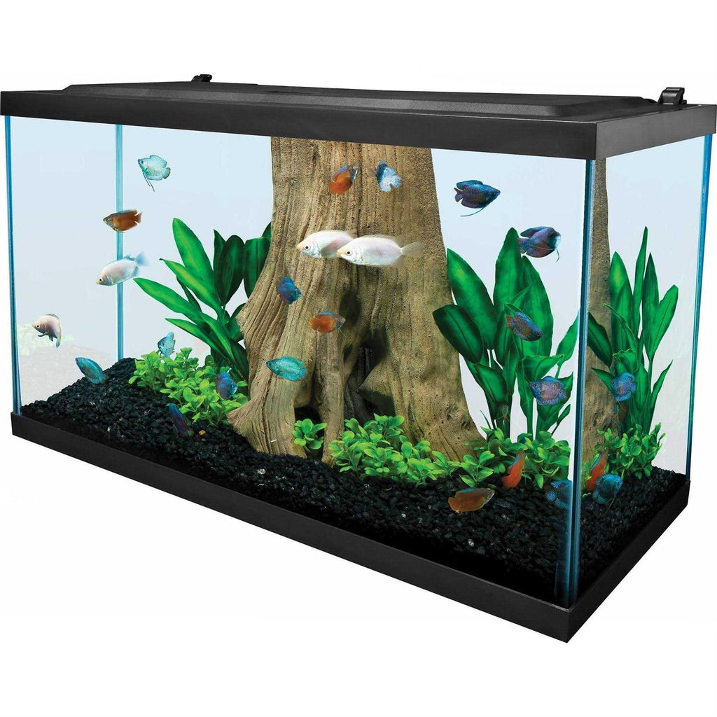 Glass Aquarium 29 Gallons M301