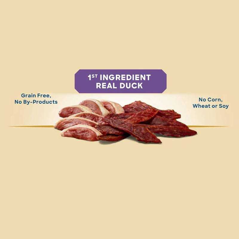 Dog Treats H807
