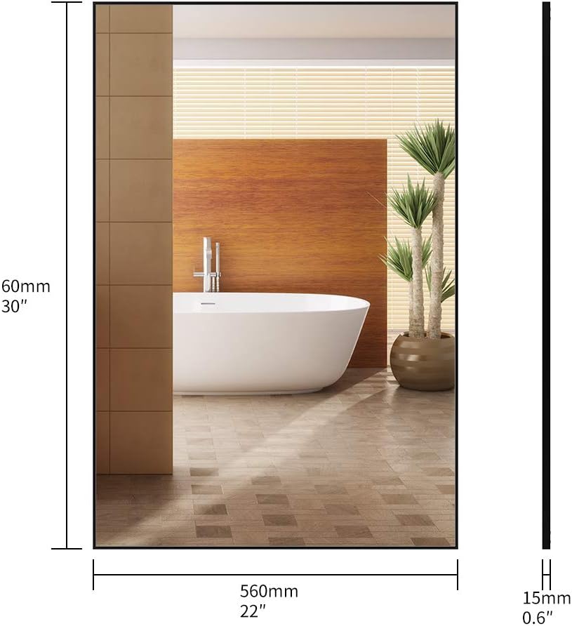 Large Modern Wall Mirror (30 x 22) Y49032