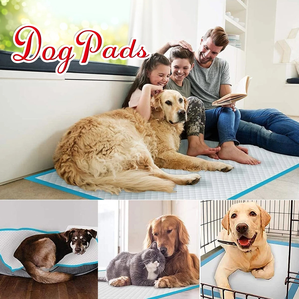XXL Absorbent Dog Training Pads, 30x36 inch, 100 Count H977199
