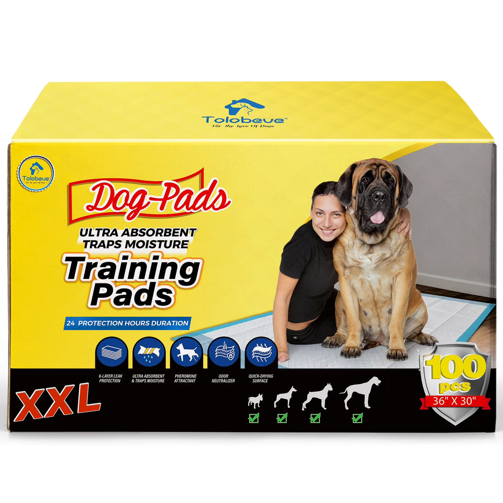 XXL Absorbent Dog Training Pads, 30x36 inch, 100 Count H977199