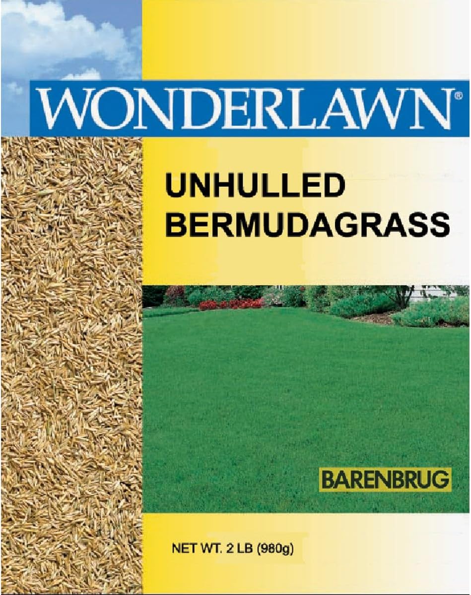 Bermudagrass Grass Seed E12382