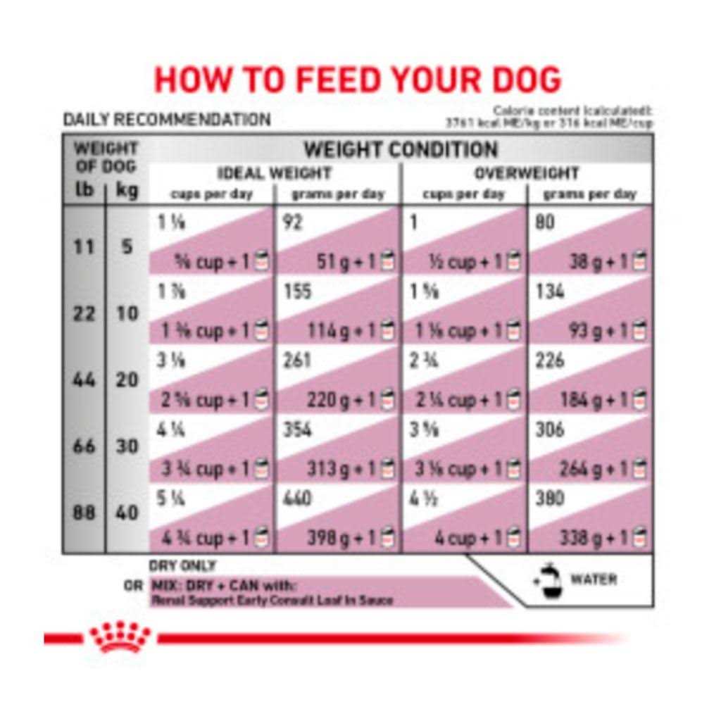 Veterinary Diet Canine Renal Support Early Consult Dry Dog Food J7983