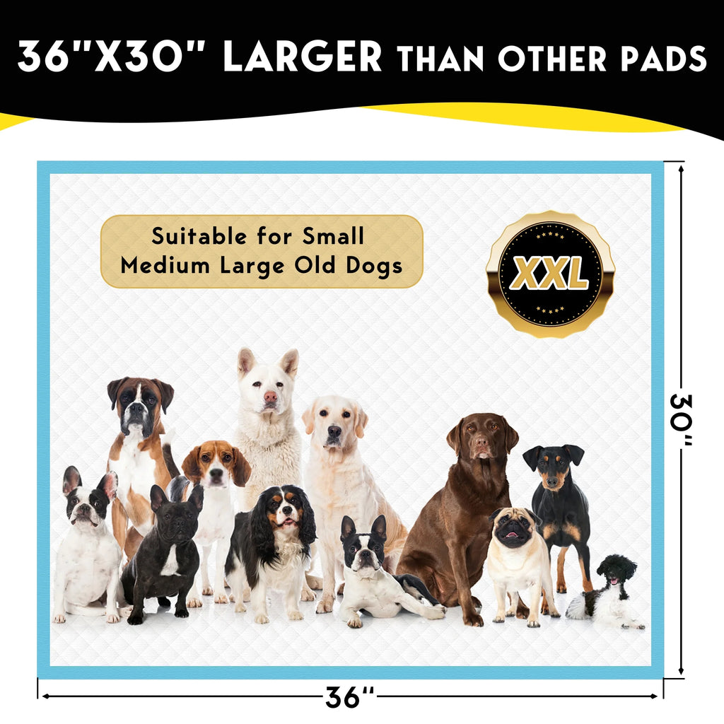 XXL Absorbent Dog Training Pads, 30x36 inch, 100 Count H977199