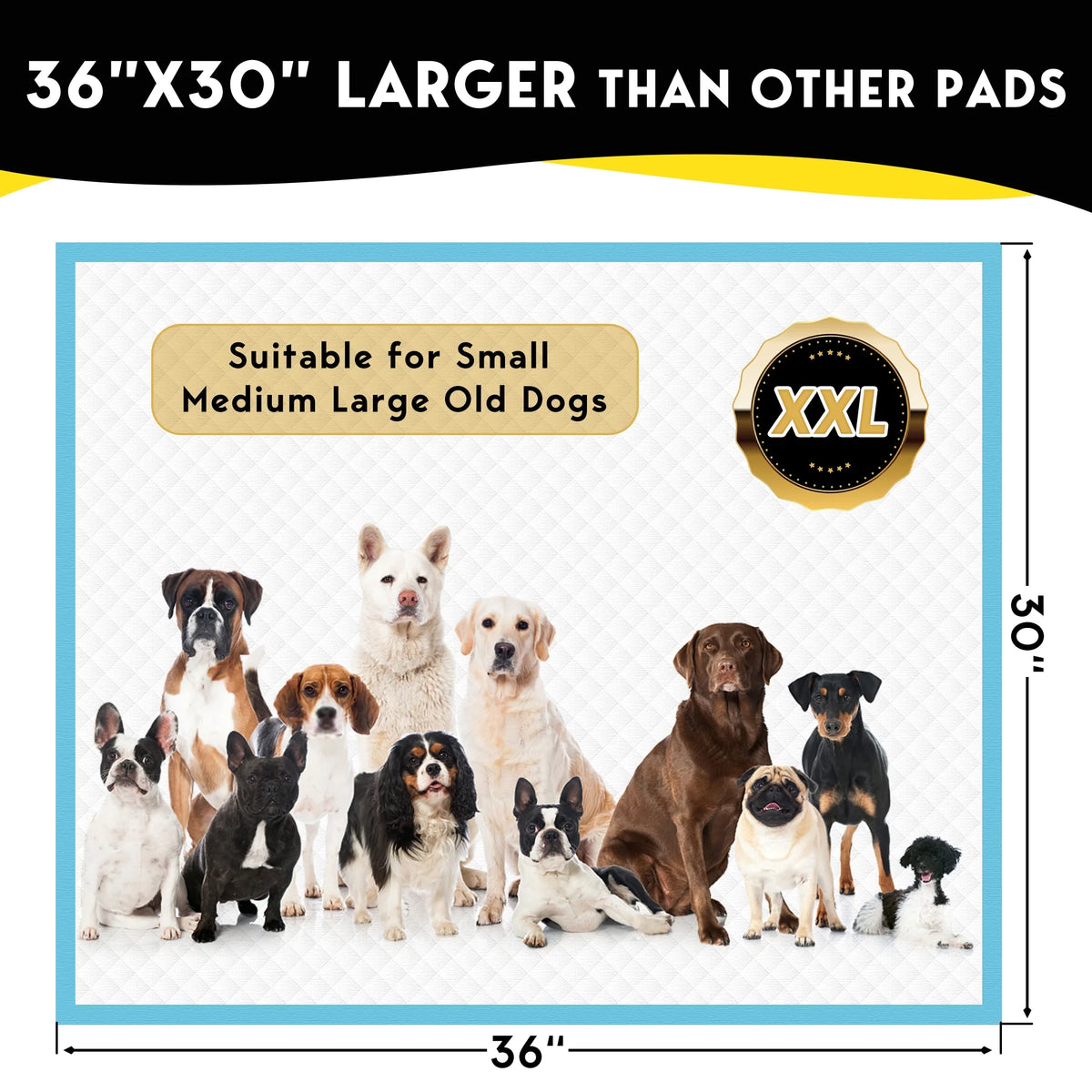 XXL Absorbent Dog Training Pads, 30x36 inch, 100 Count H977199