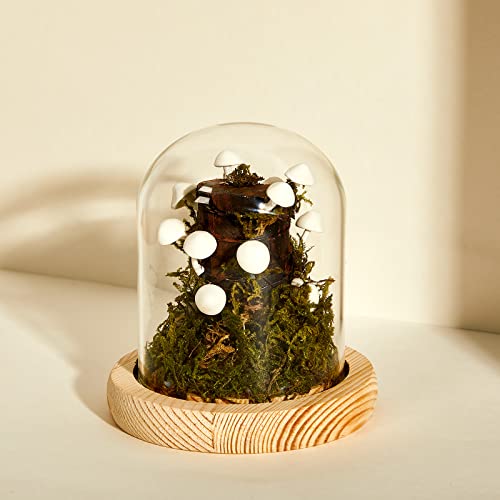 3.9 Inch Mushroom Glass LED Night Light L94656