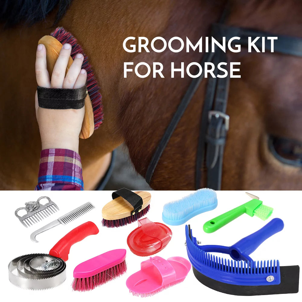 10-in-1 Grooming Kit Mane Tail Comb Curry Brush Scraper C101