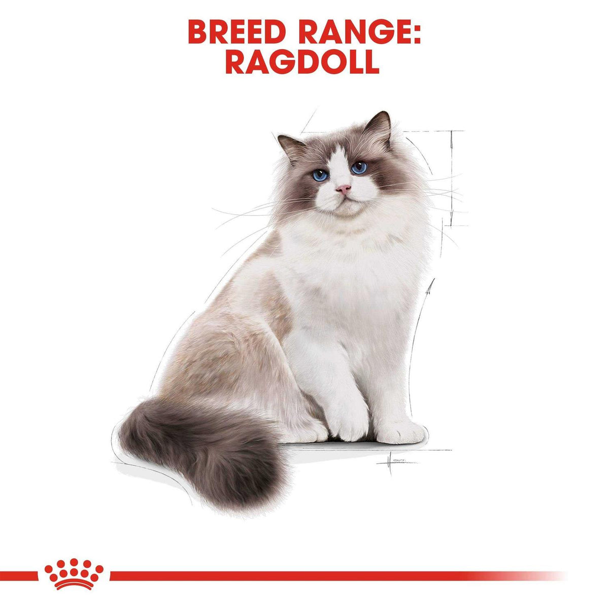 Adult Cat Food B10324