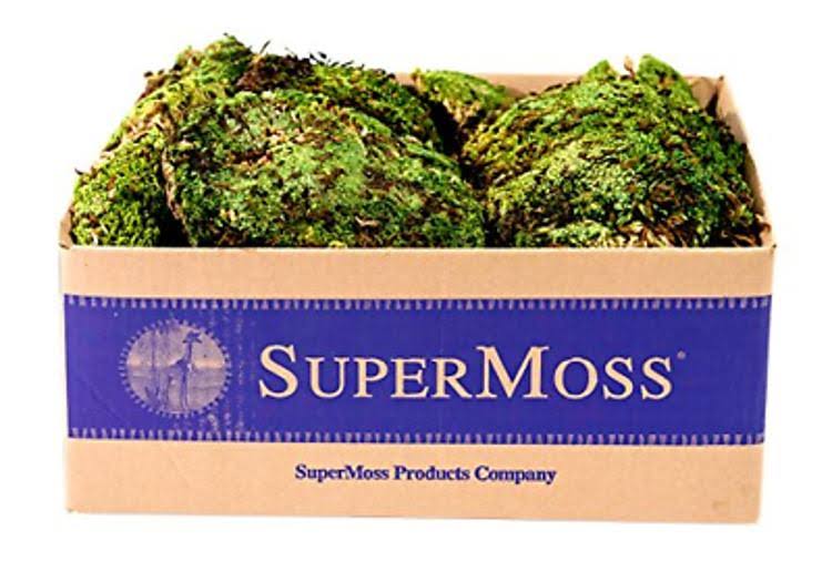 Royal Pool Moss Preserved, Fresh Green, 3lbs N338497