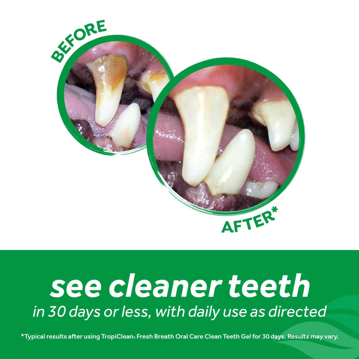 Clean Teeth Oral Care Gel Z52570