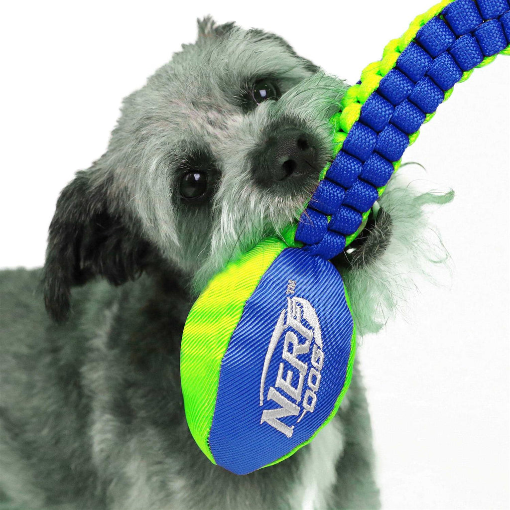 Dog Toy V426