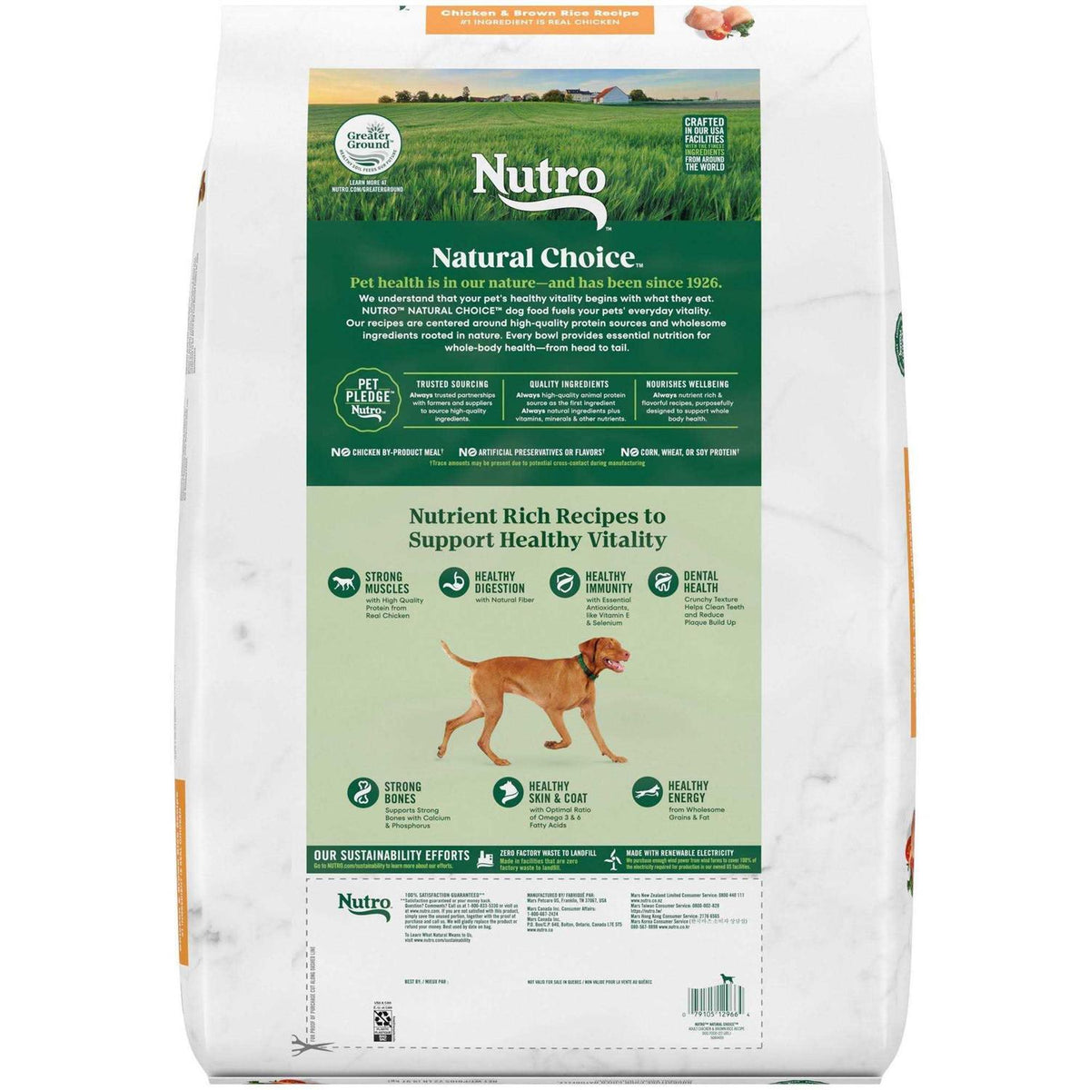 Adult Lamb Rice Dry Dog Food C482516