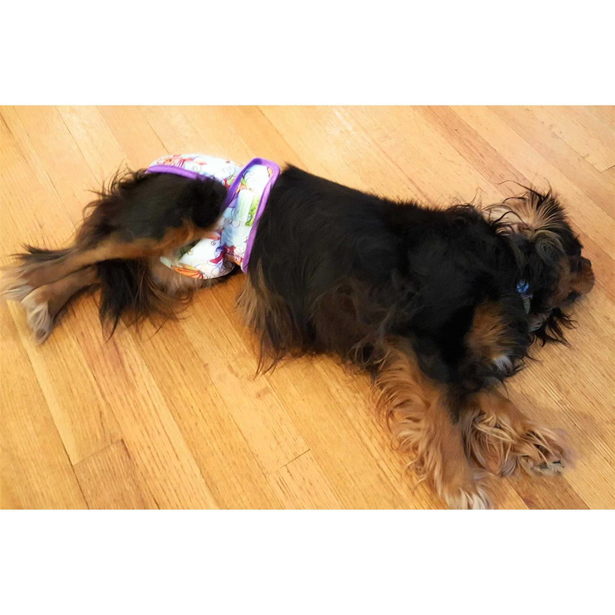 Washable Reusable Dog Diapers J601381