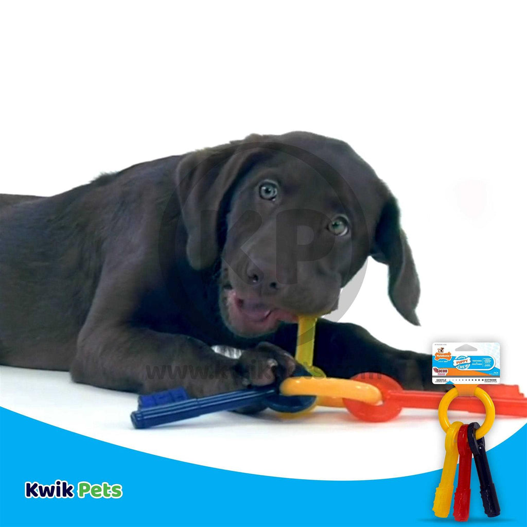 Puppy Chew Teething Keys V7994
