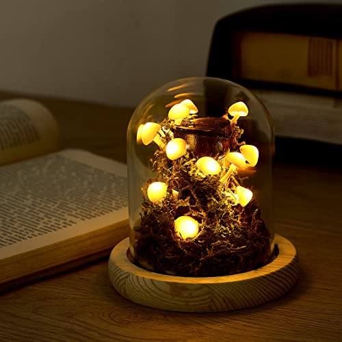 3.9 Inch Mushroom Glass LED Night Light L94656