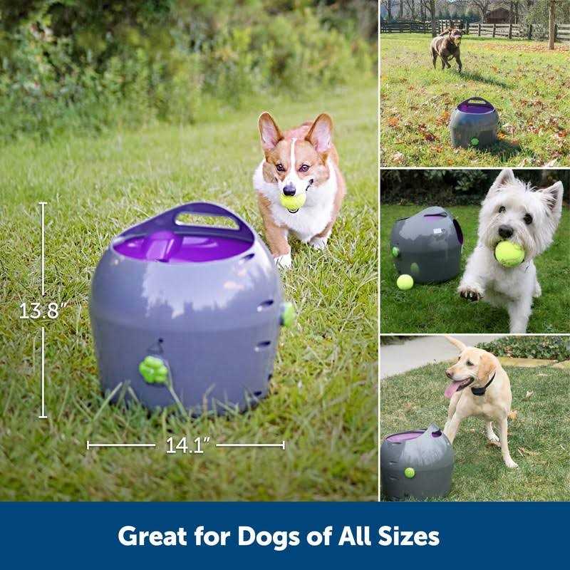 Automatic Ball Launcher Dog Toy V99699