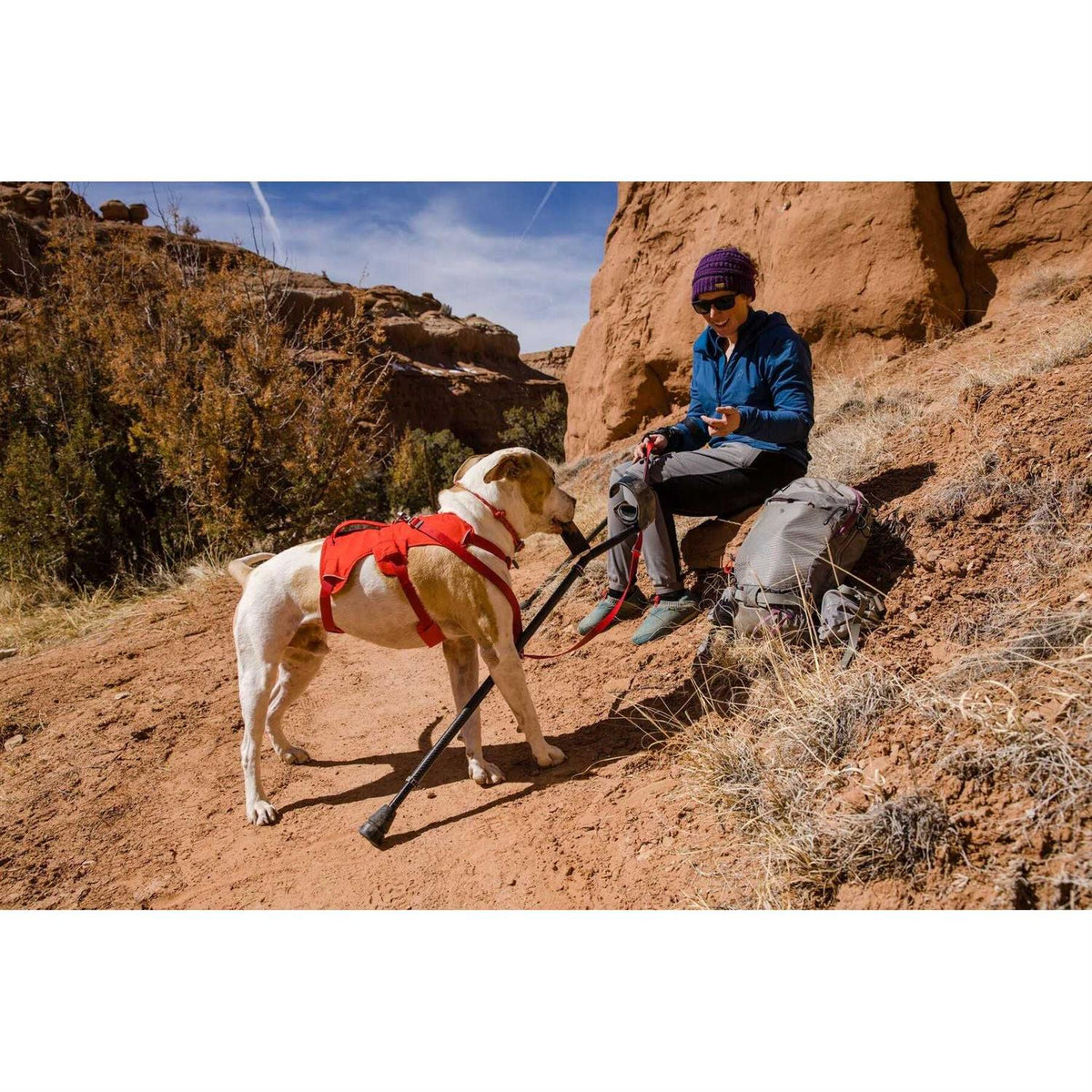 Harness L520997