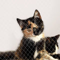 Cat Net Balcony Protection Net 3 x 8 M C137543