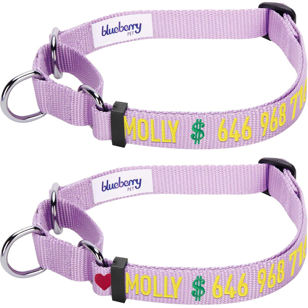 Martingale Safety Training Dog Collar U1071